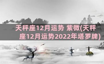 天秤座12月运势 紫微(天秤座12月运势2022年塔罗牌)